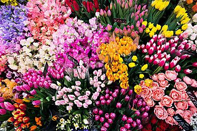 国产真人恐怖影游《恶魔的房间》发售 有泳装美女